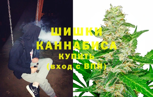 стафф Михайловка