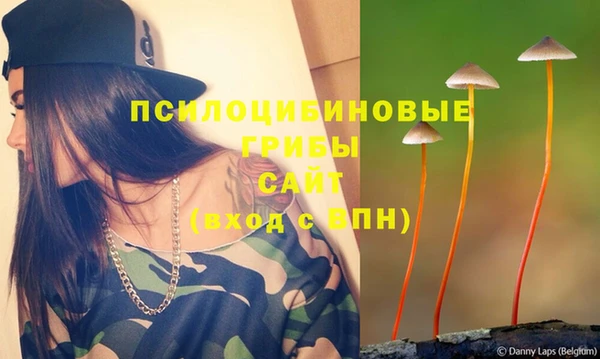 стафф Михайловка