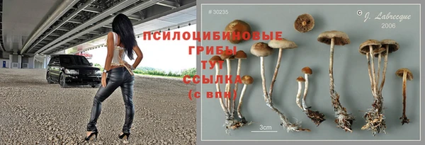 стафф Михайловка