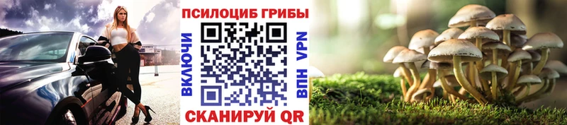 что такое   кракен как зайти  Псилоцибиновые грибы GOLDEN TEACHER  Мостовской 